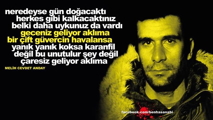 Deniz Gezmiş Resimleri 3