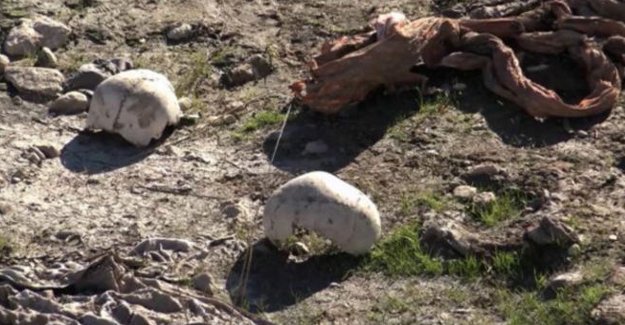 Şengal'de Ezidi toplu mezar bulundu