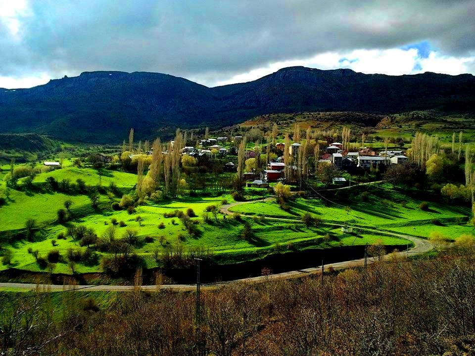 Giresun - Çamoluk’ta örnek bir köy: Kayacık Köyü