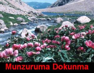 Munzur'a İlk kazma vuruldu