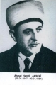 Ahmet Hamdi Akseki