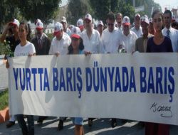 Yenice 6. Barış ve Kültür Festivali Başladı