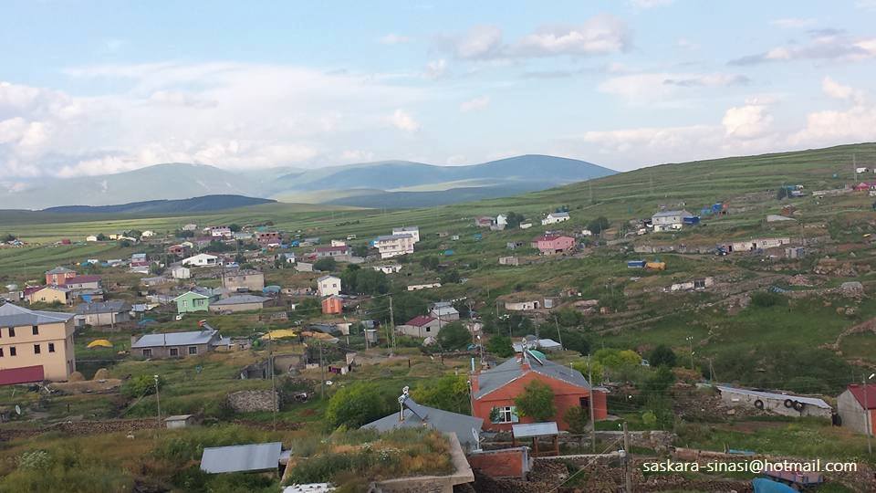 Ardahan - Hanak ilçesine bağlı bir Türkmen Alevi köyü olarak  Koyunpınar (Saskara)