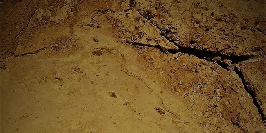 Düzgün Baba Ziyaretgahı’na yapılan ırkçı saldırıyla ilgili suç duyurusu