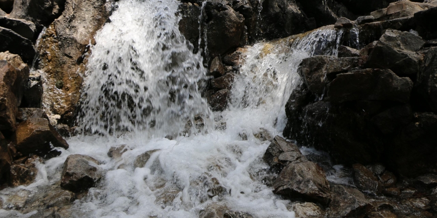 Munzur Özgür Aksın Meclisi’nden, insan zinciri eylemine çağrı