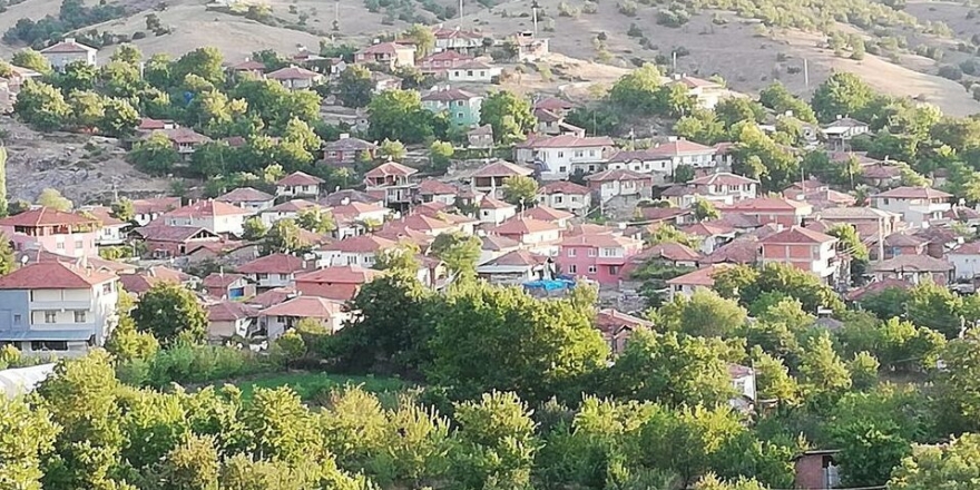 Göynücek’te cami imamından Alevilere hakaret ve nefret söylemi!