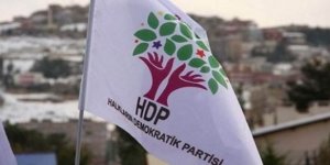 HDP: 1 Kasım 59 Milletvekili kimler?