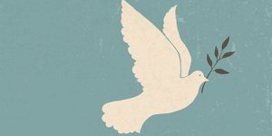 Akademisyenlere yayınevlerindende destek