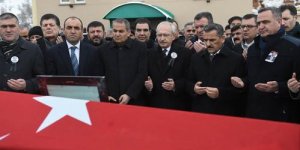 Asimilasyonun Resmidir