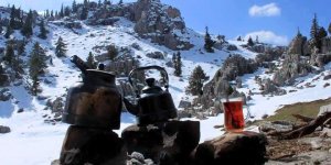 Osmanlı Arşivinde Malatya Arguvan Alevi Köylerine dair Bilgiler