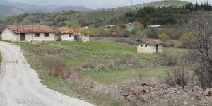 Malatya Arguvan Alevi Köylerinin Kökeni