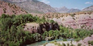 Hüseyin AYGÜL : Dersim'e zorunlu geri dönüş