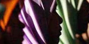 CHP ve DSP, türban için iptal davası açtı