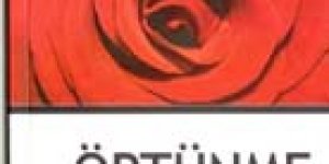 Örtünmeyenler fuhuş işler