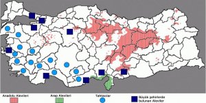 En çok Alevi Köyü nerede?