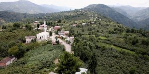 Asimilasyon sonucu özünü kaybeden bir Alevi Köyü