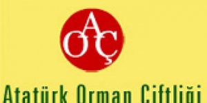 Ata'nın sofrasında içki yasağı iddiası