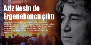 Aziz Nesin de Ergenekoncu çıktı