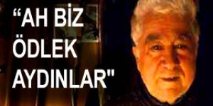 Aziz Nesin aydınlatmaya devam ediyor