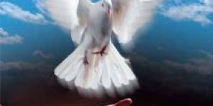 'Barış', 'Savaş'tan Tatlıdır.