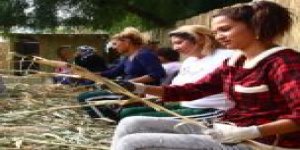 Romanlar Ulusal Eylem Planı Açıklansın İstiyor