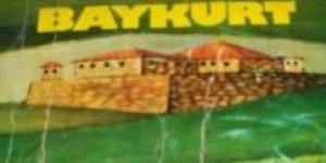 Fehmi SALIK : Vali Olmak