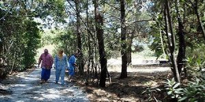 Harem-selamlığa özel milli park!