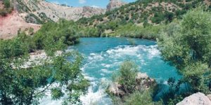 Şeyhmus ÇAKIRTAŞ : Munzur yok olurken...