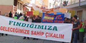 Hükümet Tatilde, Fındık Üreticisi Eylemde