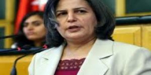 BDP'liler Alevi temsilcileriyle bir araya geldi