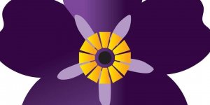 Çiçeğin siyah merkezi ve 1915