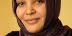 Alevilerin talepleri, Sünnilerin endişeleri