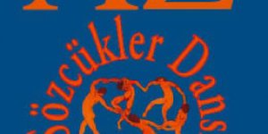 Lütfi KALELİ : A'dan Z'ye Sözcükler Dansı