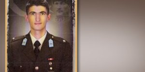 Soner Yalçın Alevilere yönelik "Cadı Avı"nı yazdı