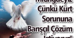 Kürt Sorununda "Barış" Diyenler 1 Haziran Kadıköy Mitingine