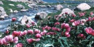 Munzur kapılarını konuklarına açtı