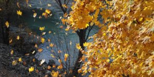 Kızıl Yapraklar, Munzur ve Seyit Rıza