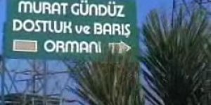 Madımak anısına "Dostluk ve Kardeşlik Anıtparkı" açılacak