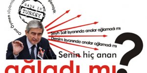 Tunceli'de 'Dersim' istifaları