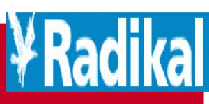 'Alevilik araştırılmalı'