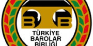 Özok: Ergenekon ile kamuoyu vicdani yara aldı