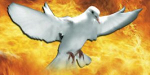 "TEMMUZ AĞRISI" - Kitap Tanıtımı