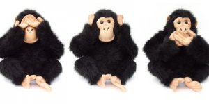 Ödüllü Yarışma : Üç Maymunu Oynayanlar