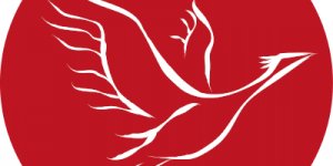 ALEVİ BASIN YAYIN ALANINDA YENİ BİR SES:  ALEVİ HABER AĞI