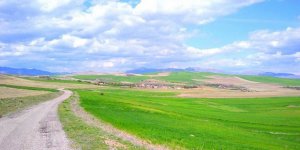 Osmanlı Arşivinde Malatya Arguvan ve Arguvan Alevi Köyleri