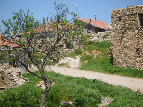 Alevi köyü Acırlı’da zorla cami yapılmış ama cemevi yok!