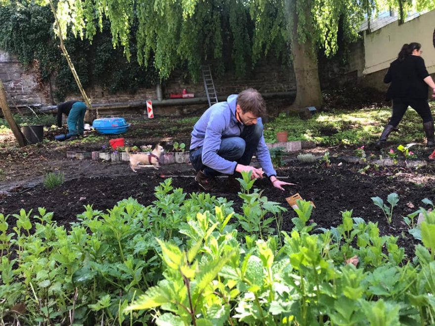 Wuppertal Cemevi, ‘Barış Bahçesi’ kurarak fidan ekti