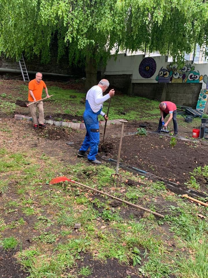 Wuppertal Cemevi, ‘Barış Bahçesi’ kurarak fidan ekti