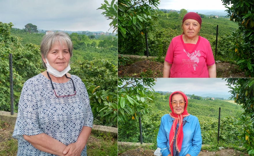 Ünye’deki Alevi köylüleri yol, su ve elektrik hizmetinden yoksun!