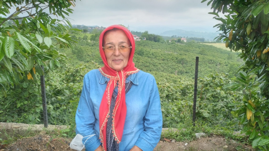 Ünye’deki Alevi köylüleri yol, su ve elektrik hizmetinden yoksun!